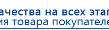 Жилет ДЭНАС-ОЛМ-02 купить в Курганинске, Одеяло и одежда ОЛМ купить в Курганинске, Дэнас официальный сайт denasdoctor.ru
